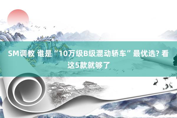 SM调教 谁是“10万级B级混动轿车”最优选? 看这5款就够了