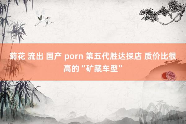 菊花 流出 国产 porn 第五代胜达探店 质价比很高的“矿藏车型”
