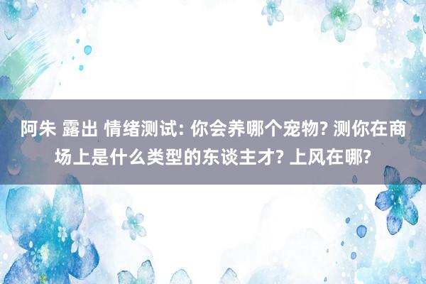 阿朱 露出 情绪测试: 你会养哪个宠物? 测你在商场上是什么类型的东谈主才? 上风在哪?