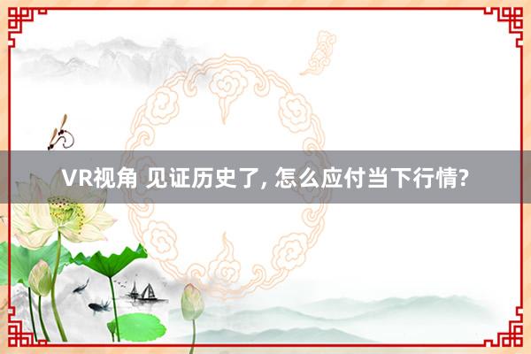 VR视角 见证历史了， 怎么应付当下行情?